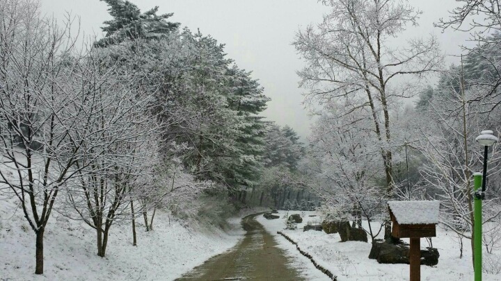 자연가 이미지