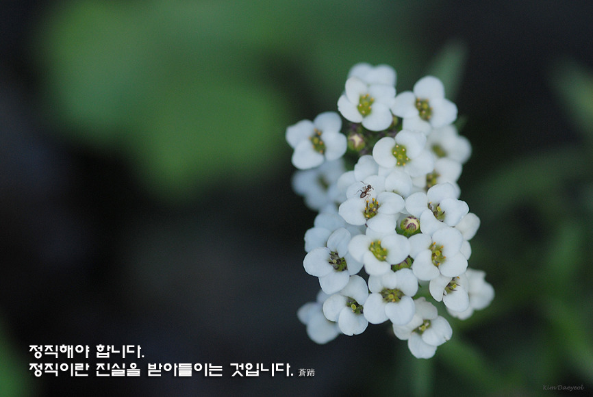 토요일 이미지