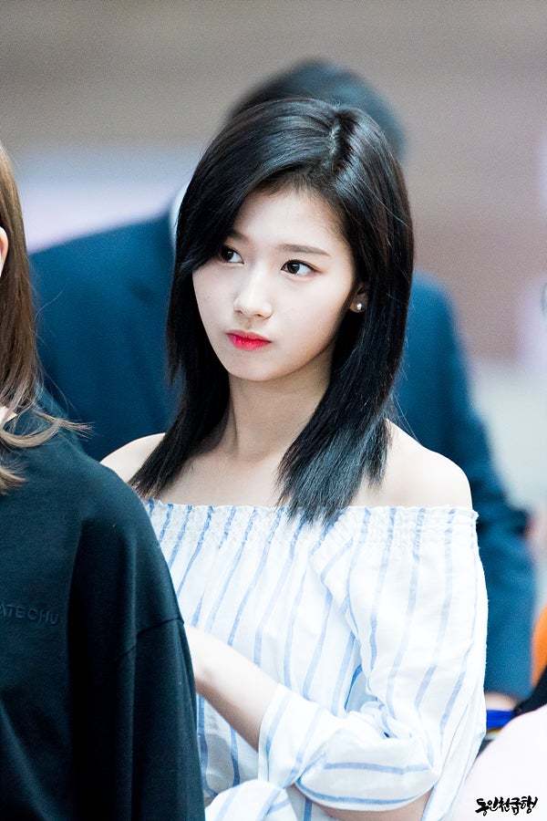 털갈이한 사나.gif | 인스티즈