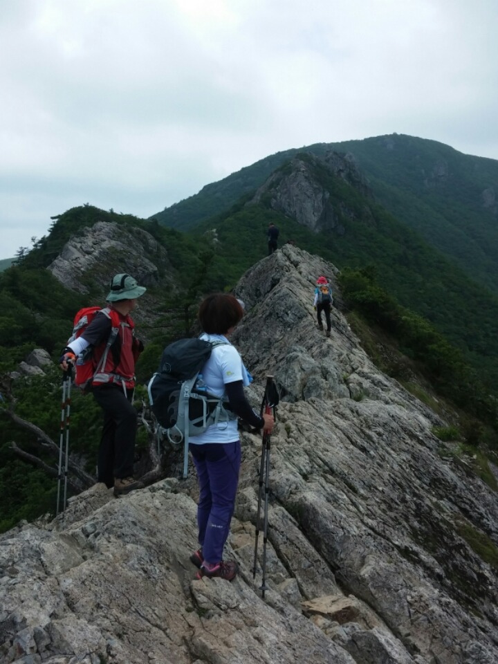 신불산 이미지