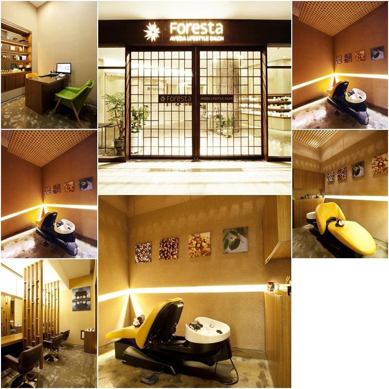 포레스타 이미지