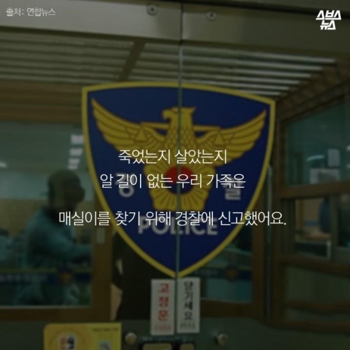 가족같은 강아지의 죽음 | 인스티즈
