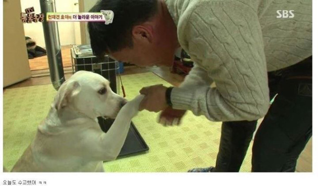 동물농장에 나온 역대급 천재 개ㄷㄷ | 인스티즈