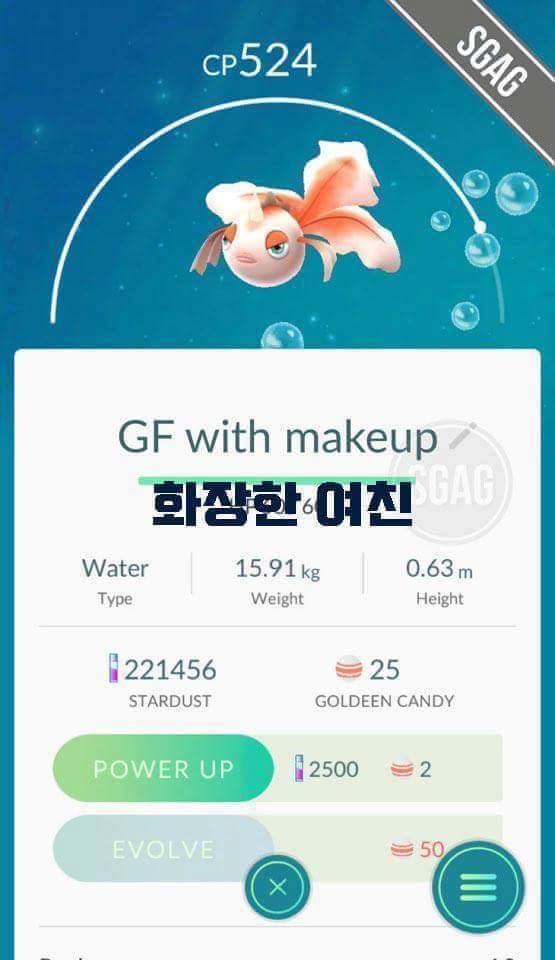 포켓몬은 내 친구 | 인스티즈