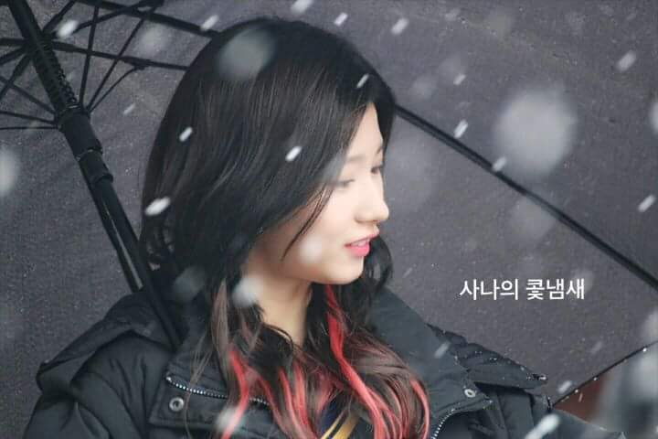 오늘자 사나 나연 | 인스티즈