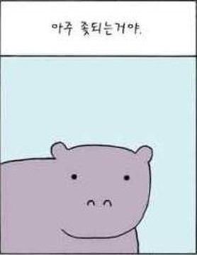 우리가 생각하는 것보다 아주예민한 하마.jpg | 인스티즈