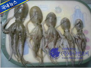갯벌낙지 이미지