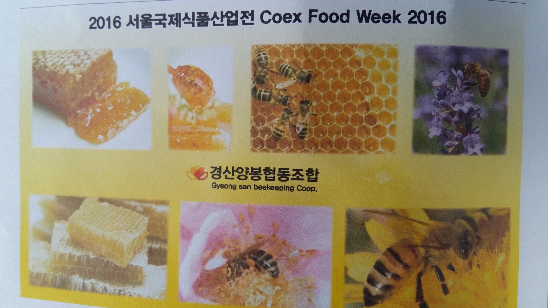 싸인몰 이미지