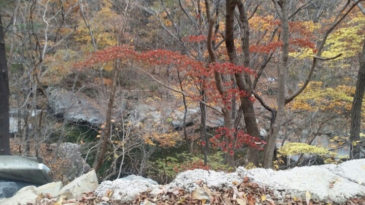 율포초등학교 이미지