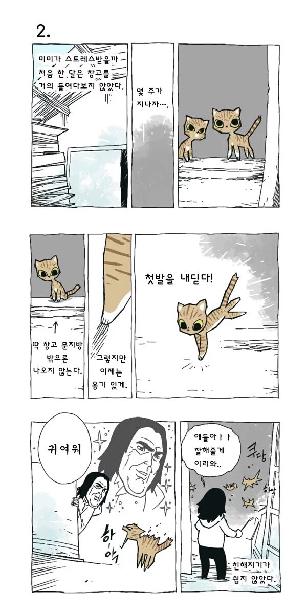 고양이 여덟마리와 사는만화 | 인스티즈