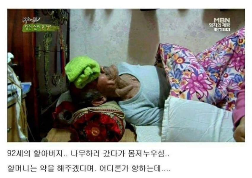 충격과 공포의 민간요법 | 인스티즈