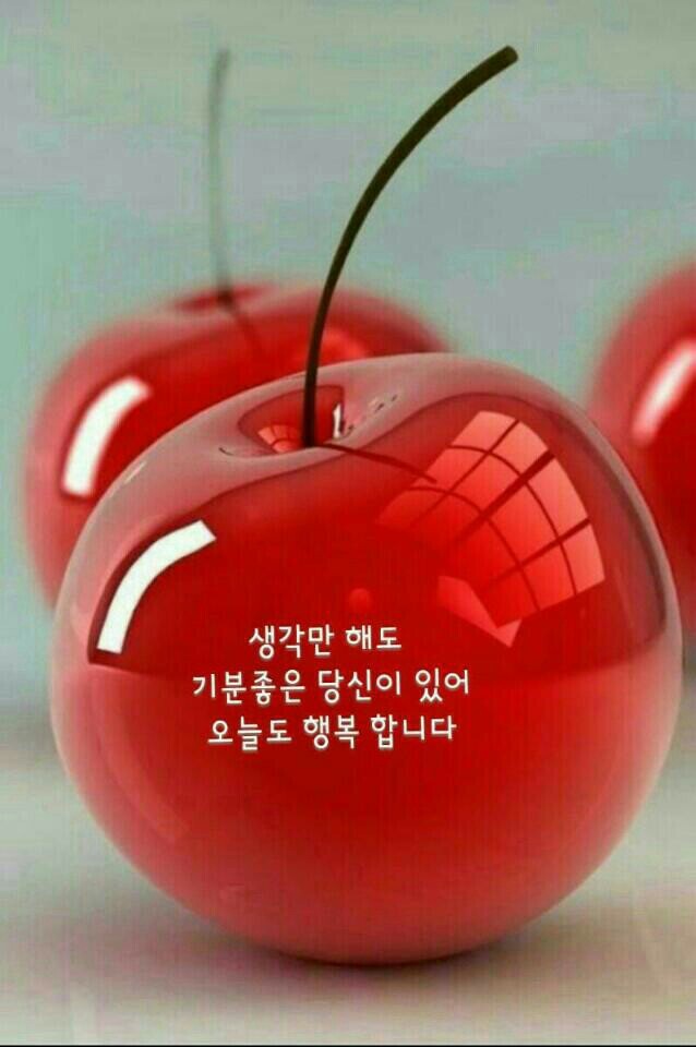박 이미지