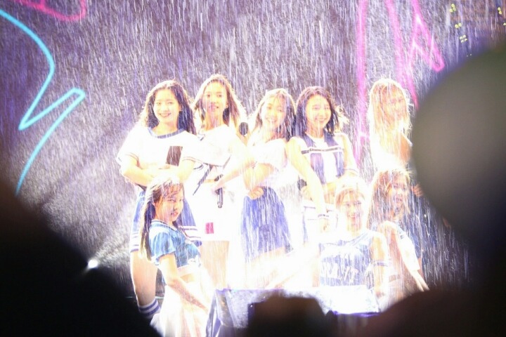 [트와이스] 비맞고 제대로 신난 아기맹수 | 인스티즈