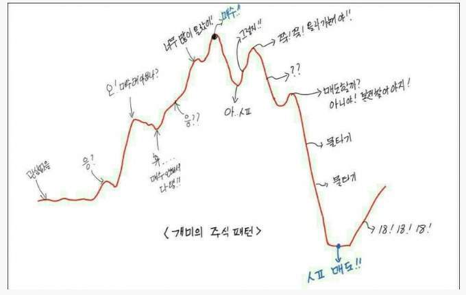 개미의 주식패턴.jpg | 인스티즈