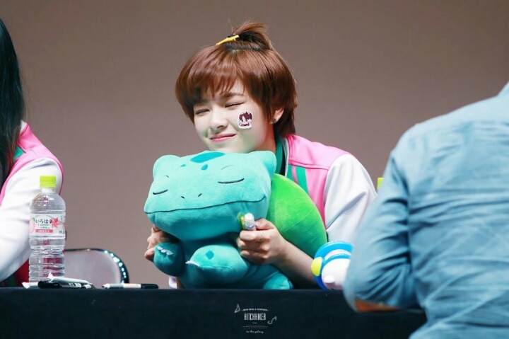 바이정은 이미지