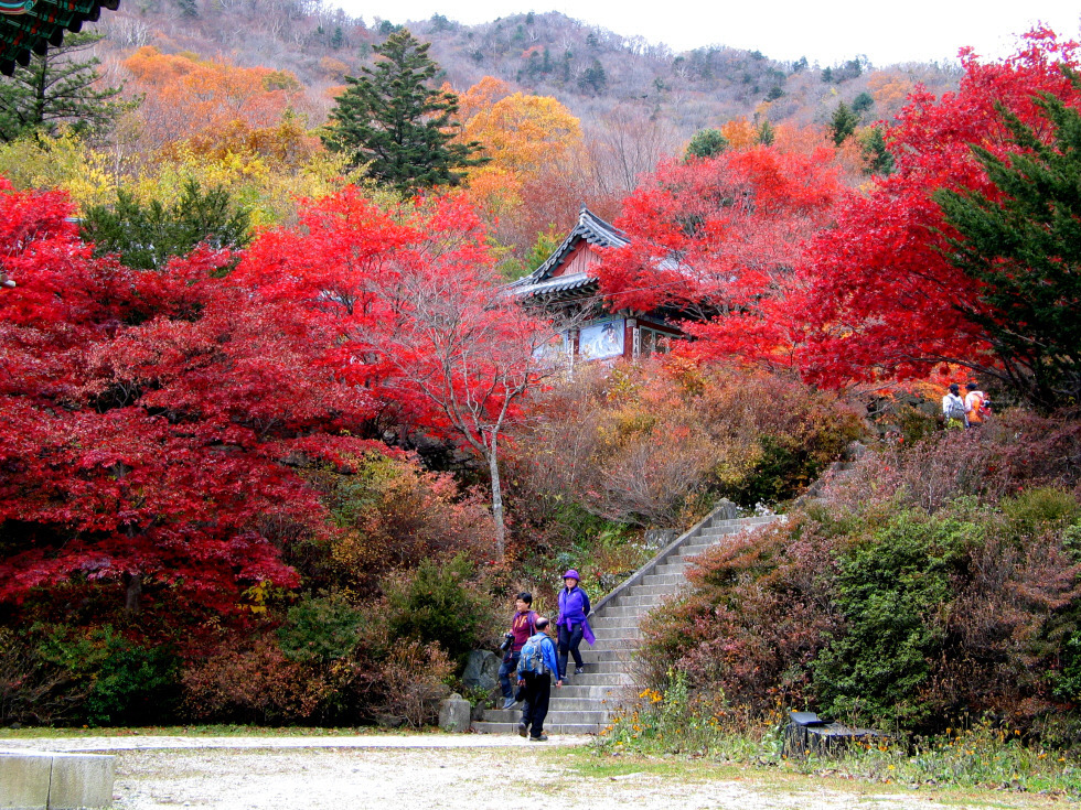 물소리바람소리 이미지