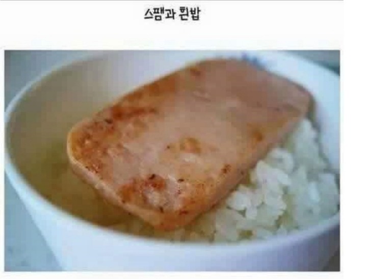 다음중 최강의 조합은? | 인스티즈