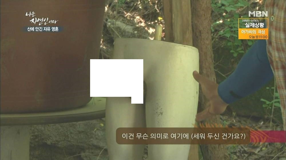 나는 자연인이다 근황.jpg | 인스티즈