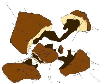 빵 터지는 사진 | 인스티즈