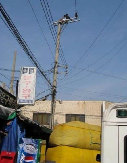 대구 전봇대 위에서 수면 취하는 남자.jpg | 인스티즈