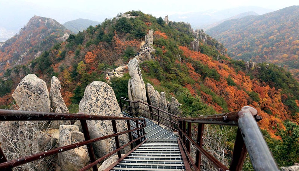 남산 이미지