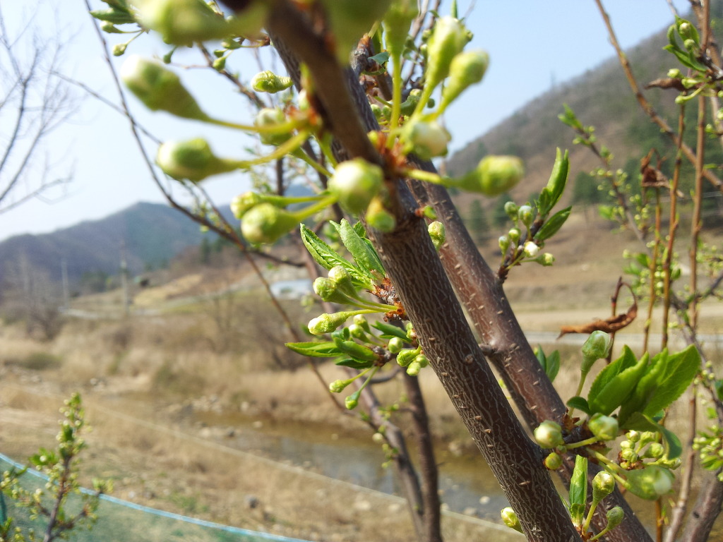 우리농장 이미지