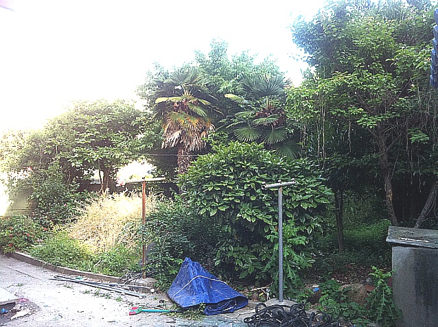 마당넓은집 이미지