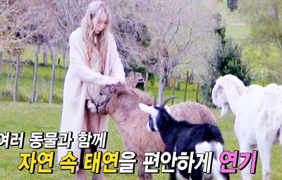 조련사 답게 동물까지 조련하는 태연.gif | 인스티즈
