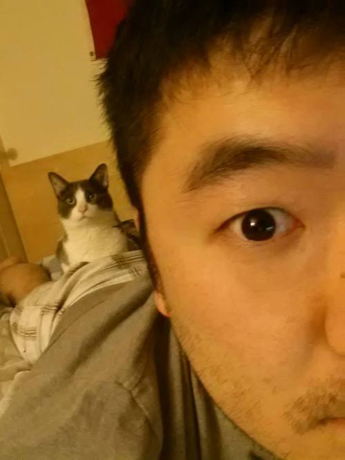 늘 앉던 자리로 하겠다냥 | 인스티즈