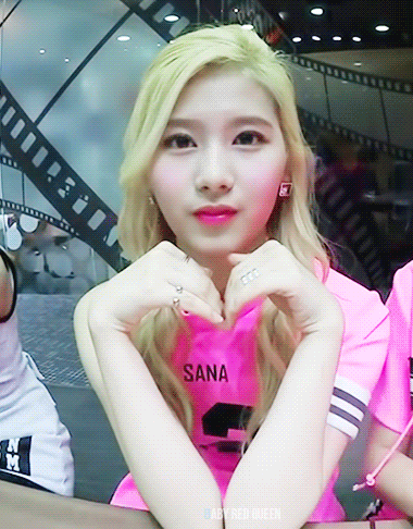 트와이스 사나 채영 카메라 근접 꽁냥.gif | 인스티즈