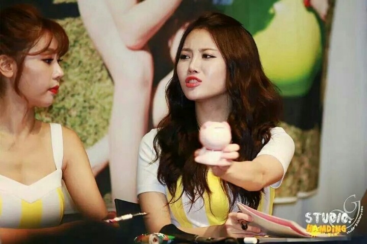 라니 이미지