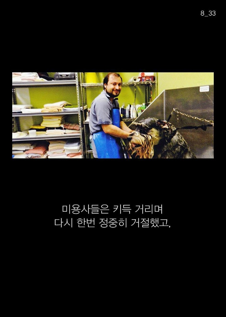 유튜브에서 난리 난 미국인의 이상한 도전 | 인스티즈