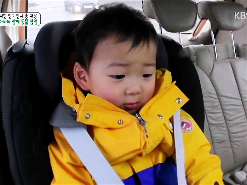 [삼둥이] 핵귀여운 쫄보 밍구기ㅋㅋㅋ | 인스티즈