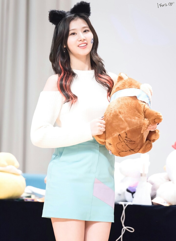 다모 이미지