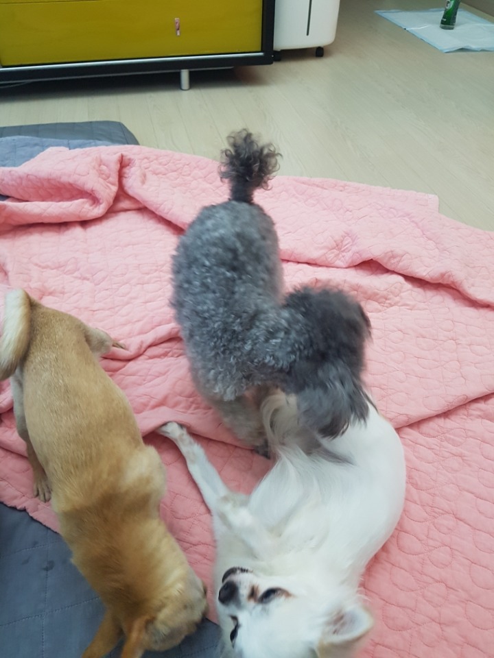 굿모닝샐리 이미지