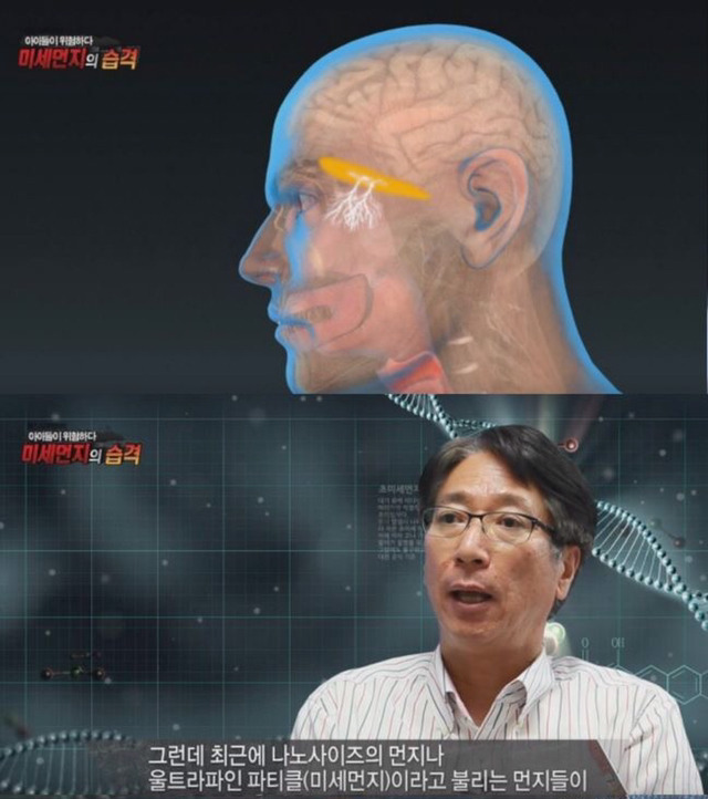 미세먼지의 위험성 | 인스티즈