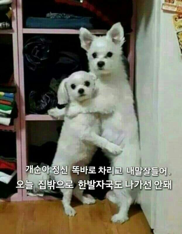 복 이미지