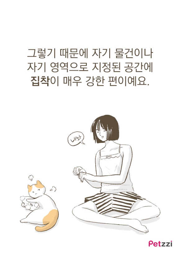 고양이가 화장실 앞에서 기다리고 있는 이유? (만화) | 인스티즈