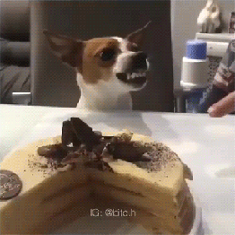 개화남.gif | 인스티즈