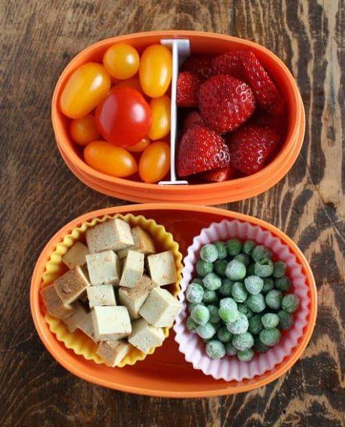 다이어터의 도시락 | 인스티즈