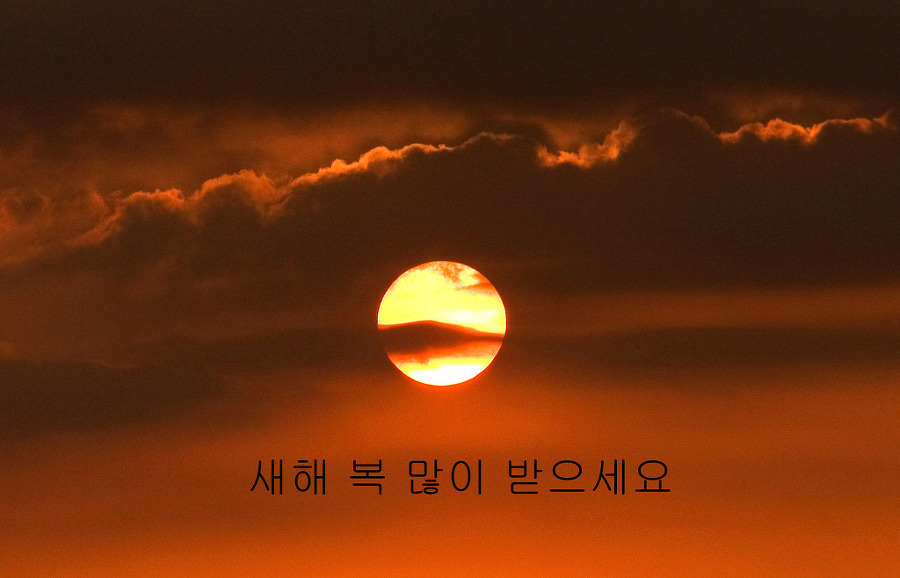 거목조경개발 이미지