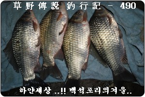 쉬리 이미지