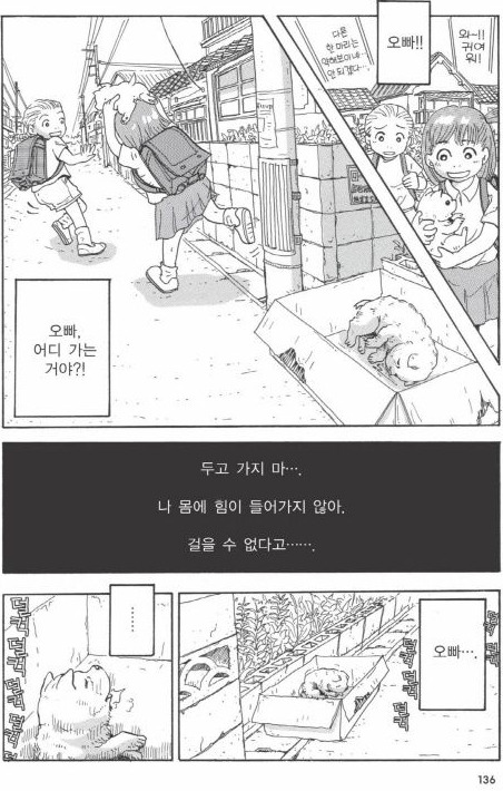 개를 주워 오면 안되는 이유 | 인스티즈