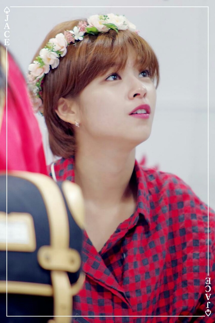 어제 스프리스 팬사인회한 트와이스 | 인스티즈
