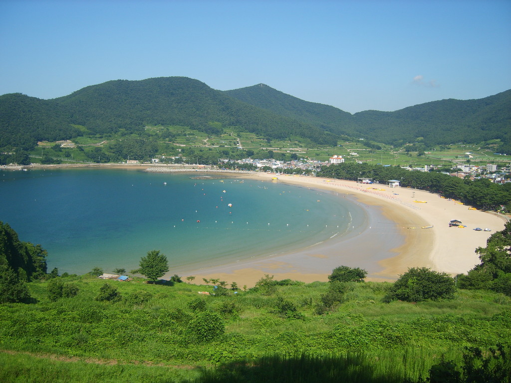 청춘 이미지