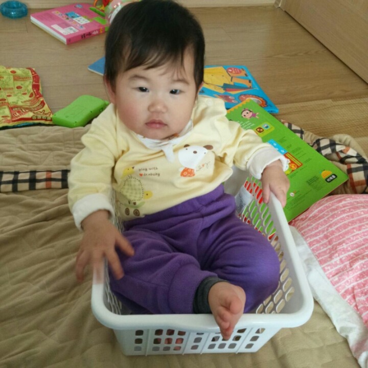 포포모모 이미지