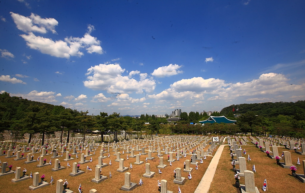 보은달 이미지
