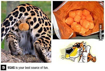 치토스 이미지