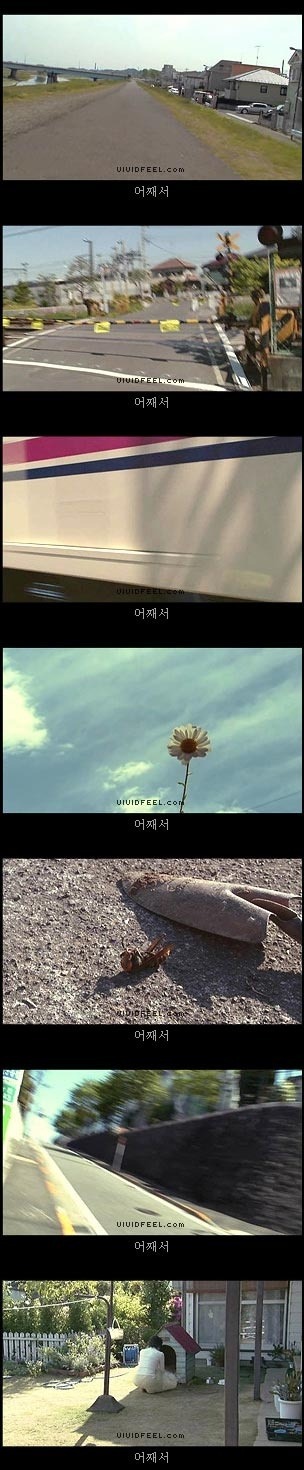 당신의 반려동물과의 이별을 생각해 본 적이 있습니까? | 인스티즈