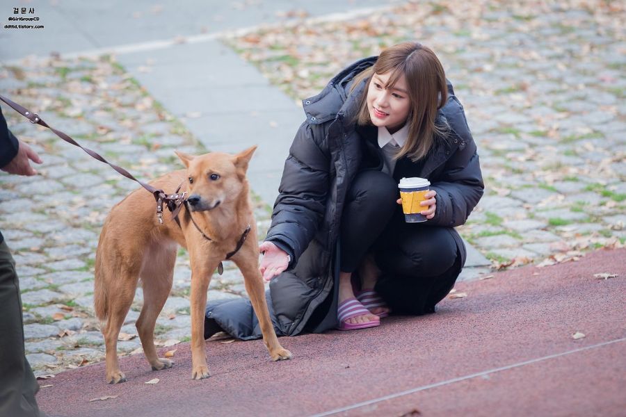 당하는 오하영 | 인스티즈